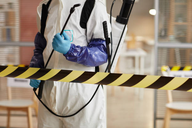 Professional Sewage Cleanup technician working in Catheys Valley, CA
